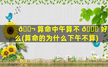 🐬 算命中午算不 🍀 好么(算命的为什么下午不算)